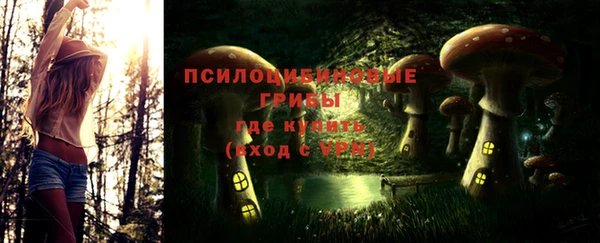 молекула духа Заволжск