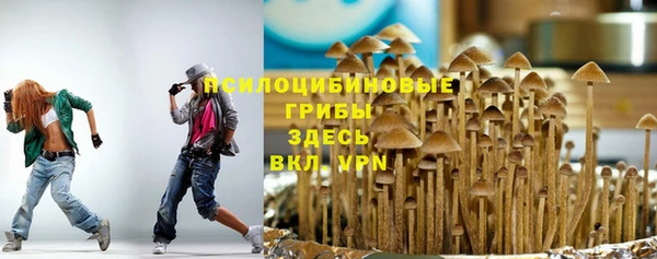 молекула духа Заволжск