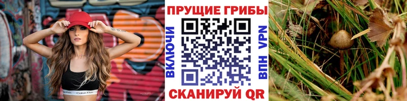 закладки  Серпухов  Псилоцибиновые грибы прущие грибы 